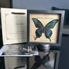 Marco de Fotos con Espécimen de Mariposa Real Adornos Estéreo DIY Accesorios para Muebles Marco Colgante Regalo de Cumpleaños Suministros Populares de Enseñanza Científica