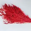 Hierba de Amor Blanqueada Flor Inmortal Hierba de Amor Blanqueada Ramo Seco Material Base Yunnan Venta Directa Ramo Pequeño Amazon