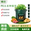 Saco de plantio de batatas de PE espesso de 10 galões para jardinagem ao ar livre e plantas em vasos