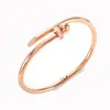 Pulsera de Acero Inoxidable Moda Estilo Ins Europeo y Americano Pulsera Personalizada con Clavo de Diamante Anillo de Acero de Titanio Joyería Transfronteriza Chapada en Oro