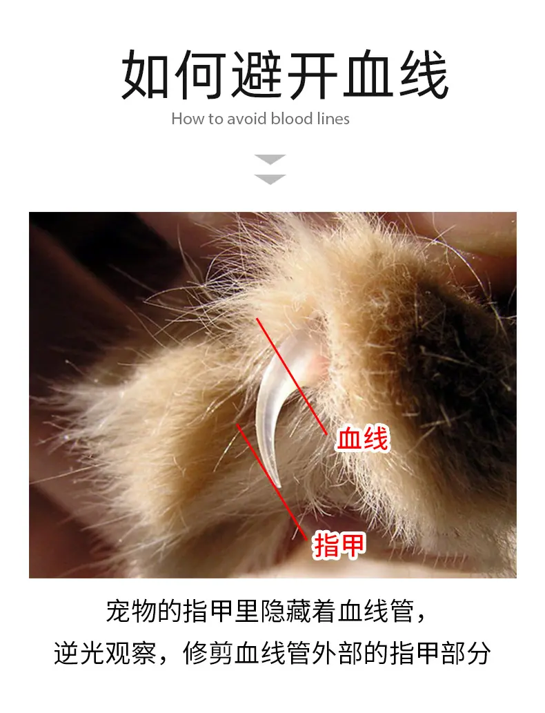 1_07.jpg