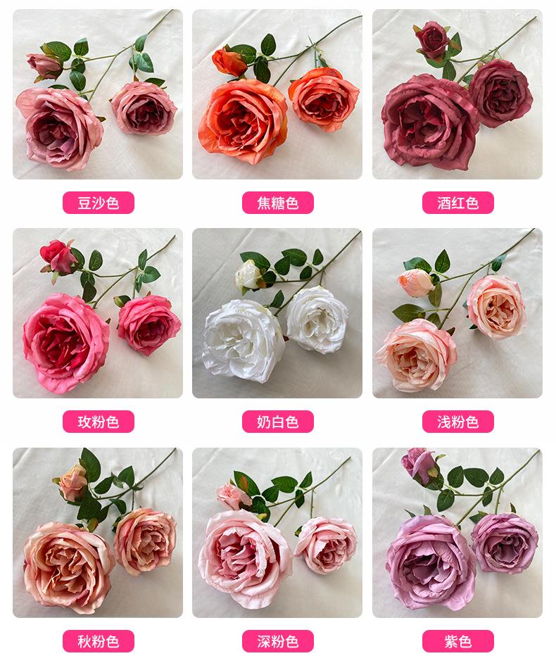 产品颜色-(1).jpg