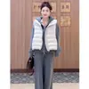 Chaleco Acolchado Grueso sin Mangas con Cuello Alto para Mujer 2025 Otoño e Invierno Nuevo Suelto y Versátil