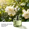 Chá Verde Aromaterapia Sem Chama Interior Casa Banheiro Desodorizante Fragrância Quarto Purificador de Ar Difusor de Aroma Atacado