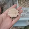 Clips de Chupeta de Madeira, Corrente de Clips de Chupeta de Madeira de Faia, Anti-Perda, Ecológico, Atacado do Fabricante, Arte em Madeira, Madeira Maciça, Minimalista Moderno