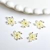 Nuevos accesorios para uñas de flor de lirio de cristal de hielo con tallado suave, resina degradada, flor de simulación, accesorios para uñas súper hada DIY
