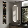 Espejo Colgante Iluminado con Barra, Espejo de Baño Suspendido, Espejo de Piso a Techo, Espejo Ovalado de Hotel con Soporte de Barra Metálica