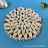 Fábrica de Conchas Marinas Naturales Venta al por Mayor Mantel Individual para Bebé Posavasos Posavasos de Concha Artesanías de Concha Hechas a Mano