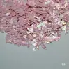 Fragmentos de Concha Triturada de la Bahía de Bohai Rosa Claro, Fragmentos de Concha de Colores, Incrustaciones para Pasadores, Materiales de Incrustación para Uñas de Madreperla
