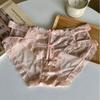 Bragas de Encaje de Deseo Puro Vintage Malla Sexy de Satén para Chica Cintura Baja Ajustadas a la Cadera Algodón Puro Entrepierna Sin Costuras