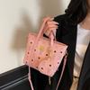 Moda Primavera e Verão Bolsas de Nicho para Mulheres 2025 Nova Moda Versátil Bolsa Transversal Popular Elegante Bolsa Carteiro Bolsa Saco