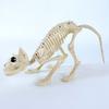 Decorações de esqueleto de Halloween Gato Dragão Aranha ornamentos de osso de esqueleto animal de plástico layout de esqueleto adereços