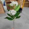 Combinación de Flores Artificiales Blancas Magnolia Phalaenopsis Rosa Diente de León Decoración Escénica de Boda Material de Flor Artificial Fabricante