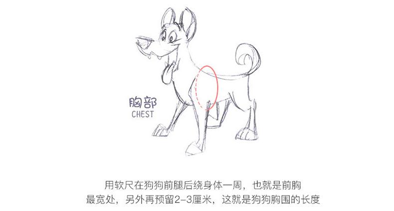 详情_03.jpg