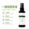 Un rociador hoja verde amarilla hoja verde fertilizante vegetal flor árbol frutal planta solución nutritiva universal hoja amarilla plántula muerta clorofila