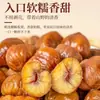 Castañas Auténticas Listas para Comer Castañas Dulces y Suaves Cocidas Snack Saludable de Castañas para Aliviar Antojos Aceite de Castaña