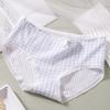 Braguitas de Algodón Puro para Niña de Deseo Puro Estilo Japonés Estampado Dulce de Conejo Calzoncillos de Estudiante Cintura Media Fabricante de Braguitas para Mujer