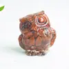 Gravel de Cristal Natural Transfronteiriço Gotas de Cola Coruja Fofa Escritório Casa Sala de Estar Decoração de Joias para Mesa Ornamentos