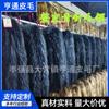 Chaquetas de plumas para adultos y niños, Abrigos de algodón, Ropa para niños, Piel de mapache auténtica, Zorro teñido de negro, Cuello de pelo de aguja verde, Piel auténtica