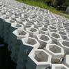 Bloco de Encaixe Cimento Hexagonal Oco Proteção de Talude Tijolo Hexagonal Rodovia Tijolo Casco de Cavalo Tijolo para Plantio de Grama Concreto Ecológico