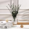 Planta Verde Artificial Simple Hojas de Eucalipto Blanco Escarchado de Plástico Hojas de Eucalipto Decorativas Flor Artificial Blanca Escarchada Moldeada por Inyección Adorno