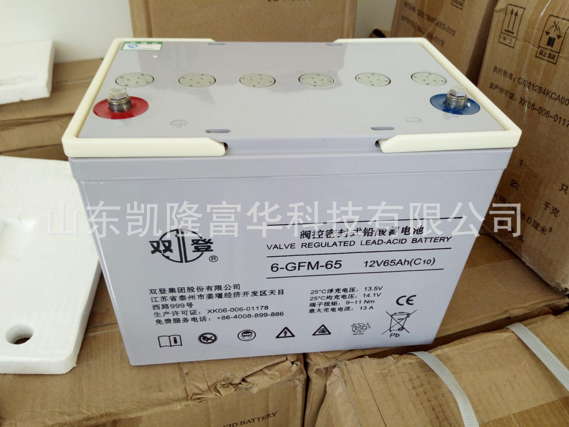 双登6-GFM-65