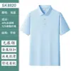Camisa Polo de Algodón Hielo Tejido Plano Hecha a Medida de Alta Gama Sin Costuras Talla Grande Camisa Cultural Publicitaria Ropa de Trabajo Camiseta de Manga Corta con Texto Impreso