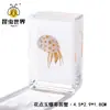 Artesanía Jingling Muestras Biológicas Acuáticas Conchas de Caracol Peces Camarones Cangrejos Regalos de Educación Científica Adornos de Resina Caja Sorpresa
