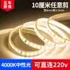 Tira de Luz LED Autoadhesiva de Alto Voltaje 220V para Vitrinas de Exhibición Suave, Parche Lineal, Sin Transformador, Uso Lineal en Exteriores
