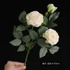 Arranjo de Flores Secas Estilo Pintura a Óleo Vintage com Borda Queimada de Rosa e Lótus para Sala de Estar, Mesa de Jantar, Gabinete de TV, Decoração de Flores, Peônia