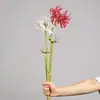 Flor Lisianthus para decoração de casamento, adereço de mão estilo antigo para fotografia, arranjo de flores artificiais