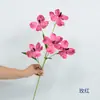 Flor Artificial de Seda com 5 Cabeças, Haste Única Impressa em 3D de Orquídea Phalaenopsis, Decoração de Salão de Casamento, Adereço de Fotografia, Vitrine, Flor de Ano Novo
