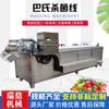 Máquina de pasteurização de brotos de bambu garrafa de vidro vinho de frutas suco café bebida equipamento de esterilização linha de esterilização de chucrute