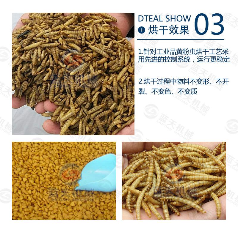 详情页1_06.jpg