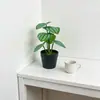 Planta Verde de 6 Piezas Mini Planta en Maceta 3D Planta Artificial de Escritorio Bonsái Parque Patio Micro Paisaje Decoración de Flores Artificiales