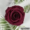 Flor de rosa de franela de simulación cabeza de flor roja ramillete pared de flores de boda accesorios de fotografía arco de flores artificiales flor de simulación al por mayor