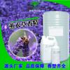 Detergente de Uso Diario Fragancia Lavanda Aroma Floral Concentrado Fragancia Duradera Detergente para Ropa Fragancia Personalizada Perfume Aromaterapia