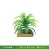 Planta Plástico Árvore Pinheiro Coqueiro Decoração Árvore Frutífera Modelo Cena Animal Acessórios Crianças Brincar Auxílios de Ensino