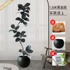 Planta Artificial Verde Grande Black Diamond Árbol de Goma Planta en Maceta de Interior para Sala de Estar Decoración de Planta de Árbol Imitación de Lujo Ligero de Gama Alta