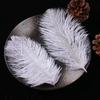 Accesorios de ropa de plumas de avestruz de colores materiales de decoración de bodas accesorios de plumas hechos a mano DIY decoración del hogar