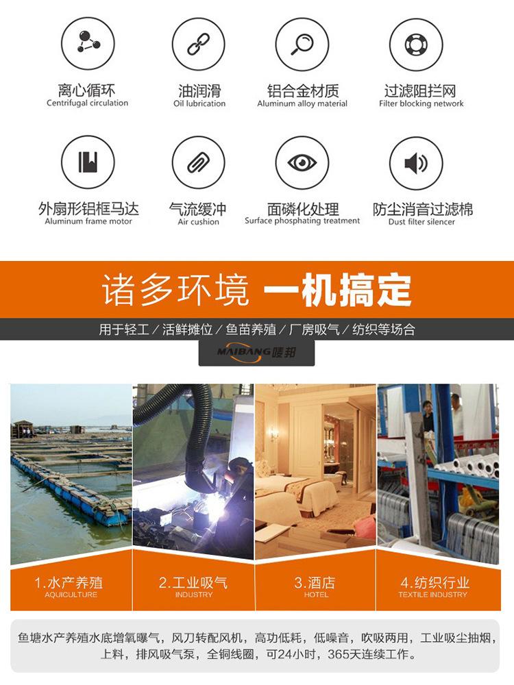 迈邦旋涡风机详情页_02.jpg