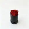 Los Productos Más Vendidos de Amazon: Cubo de Abrazos Flores Preservadas Día de San Valentín Navidad Decoraciones Terminadas Comercio Exterior Transfronterizo Venta al por Mayor