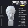 Estatua de yeso de la Cabeza de David, Estudiante de arte dibujando bodegón, Escultura de estilo europeo, Materiales didácticos de arte, Busto de figura de yeso, Tridimensional