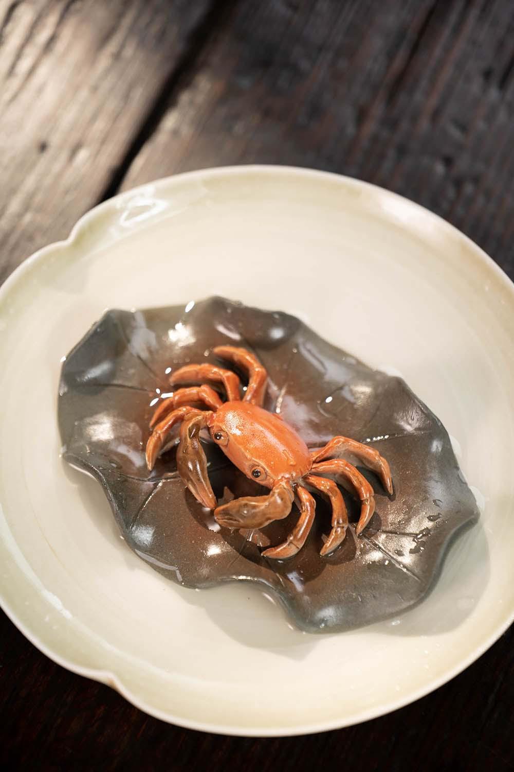 变色螃蟹20230516 (13).jpg