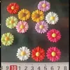 Pétalos de Flor de Margarita Coloridos DIY Hecho a Mano Pegamento de Crema Resina Pasador de Pelo Accesorios de Joyería Parche para Funda de Teléfono Móvil