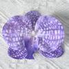 Cabeza de flor de orquídea mariposa, simulación de flores, accesorios de pared, flores DIY, decoración de boda hecha a mano, flor, solapa, horquilla, tocado, material