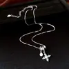 Collar de estrella redonda de circón, cadena para la clavícula de nicho de lujo ligero, elegante y versátil, joyería de moda de alta gama al por mayor