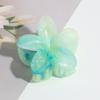 Presilha de Cabelo Estilo Coreano Versátil Gradiente Fresco Lírio Penteado Semi-Preso Doce e Fofo Presilha de Cabelo Frangipani Acessório de Cabelo