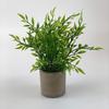 Ramo de plantas verdes amazónicas en maceta para el hogar, habitación, porche suave, adornos transfronterizos, pequeñas macetas, fábrica al por mayor