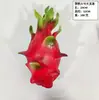 Modelo de fruta simulada, juego de frutas artificiales, manzana, plátano, sandía, limón, naranja y otros accesorios para fotos, decoración del hogar